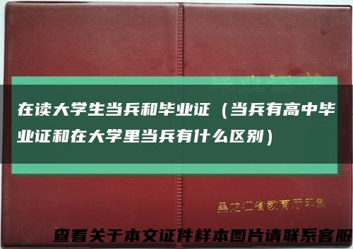 在读大学生当兵和毕业证（当兵有高中毕业证和在大学里当兵有什么区别）缩略图
