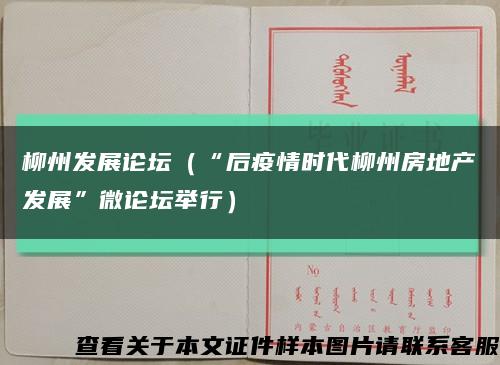 柳州发展论坛（“后疫情时代柳州房地产发展”微论坛举行）缩略图