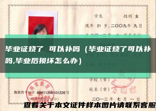 毕业证烧了 可以补吗（毕业证烧了可以补吗,毕业后损坏怎么办）缩略图