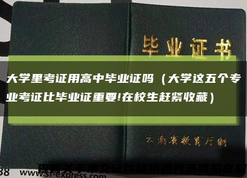 大学里考证用高中毕业证吗（大学这五个专业考证比毕业证重要!在校生赶紧收藏）缩略图
