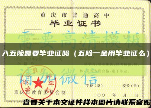 入五险需要毕业证吗（五险一金用毕业证么）缩略图