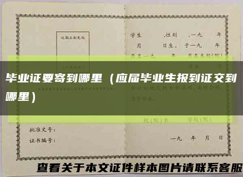 毕业证要寄到哪里（应届毕业生报到证交到哪里）缩略图