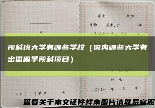 预科班大学有哪些学校（国内哪些大学有出国留学预科项目）缩略图