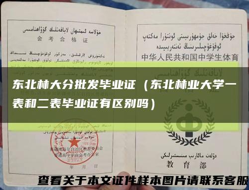 东北林大分批发毕业证（东北林业大学一表和二表毕业证有区别吗）缩略图