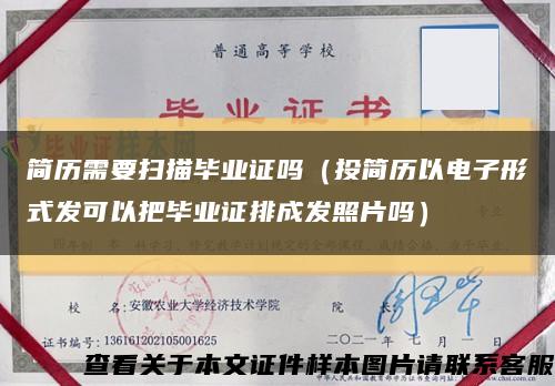 简历需要扫描毕业证吗（投简历以电子形式发可以把毕业证排成发照片吗）缩略图