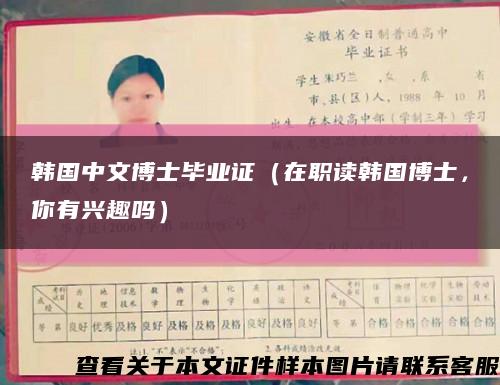 韩国中文博士毕业证（在职读韩国博士，你有兴趣吗）缩略图