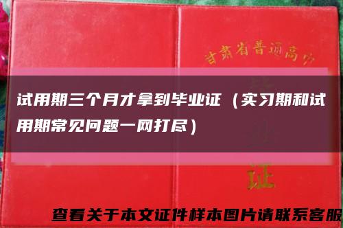 试用期三个月才拿到毕业证（实习期和试用期常见问题一网打尽）缩略图