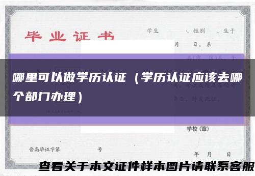 哪里可以做学历认证（学历认证应该去哪个部门办理）缩略图