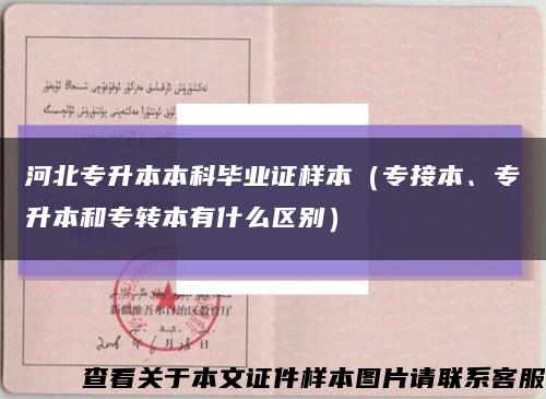 河北专升本本科毕业证样本（专接本、专升本和专转本有什么区别）缩略图