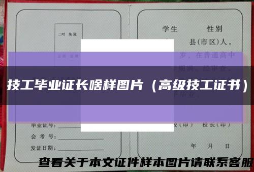 技工毕业证长啥样图片（高级技工证书）缩略图