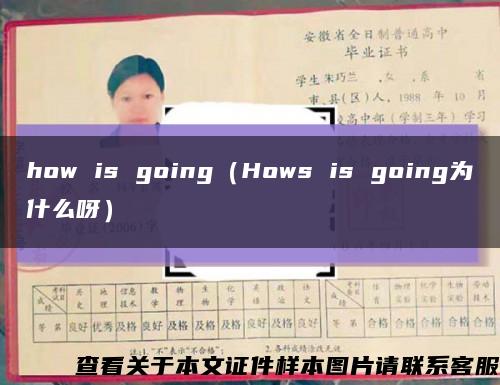 how is going（Hows is going为什么呀）缩略图