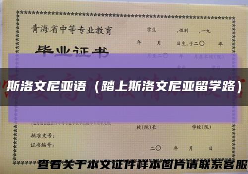 斯洛文尼亚语（踏上斯洛文尼亚留学路）缩略图