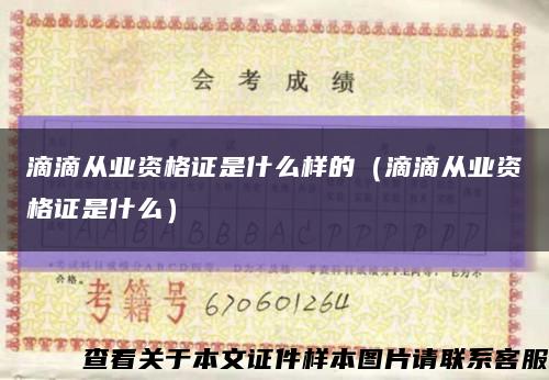 滴滴从业资格证是什么样的（滴滴从业资格证是什么）缩略图