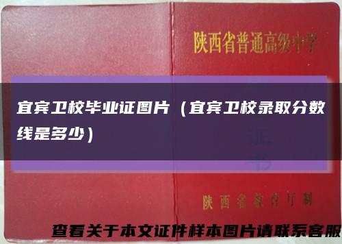 宜宾卫校毕业证图片（宜宾卫校录取分数线是多少）缩略图