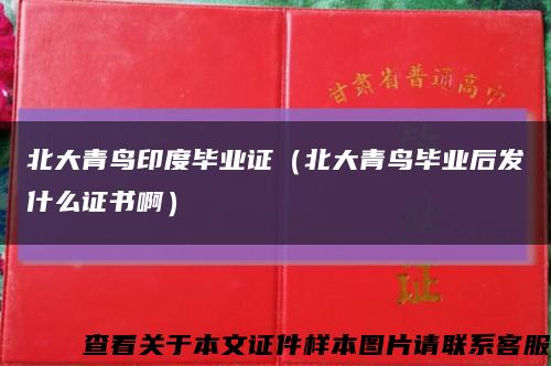 北大青鸟印度毕业证（北大青鸟毕业后发什么证书啊）缩略图