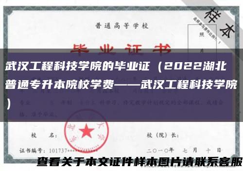 武汉工程科技学院的毕业证（2022湖北普通专升本院校学费——武汉工程科技学院）缩略图