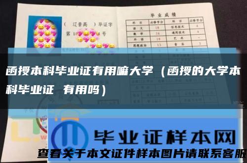 函授本科毕业证有用嘛大学（函授的大学本科毕业证 有用吗）缩略图