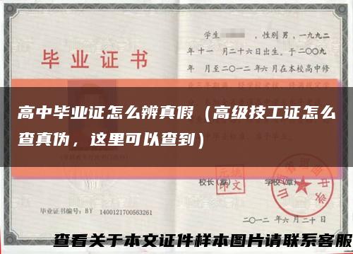 高中毕业证怎么辨真假（高级技工证怎么查真伪，这里可以查到）缩略图