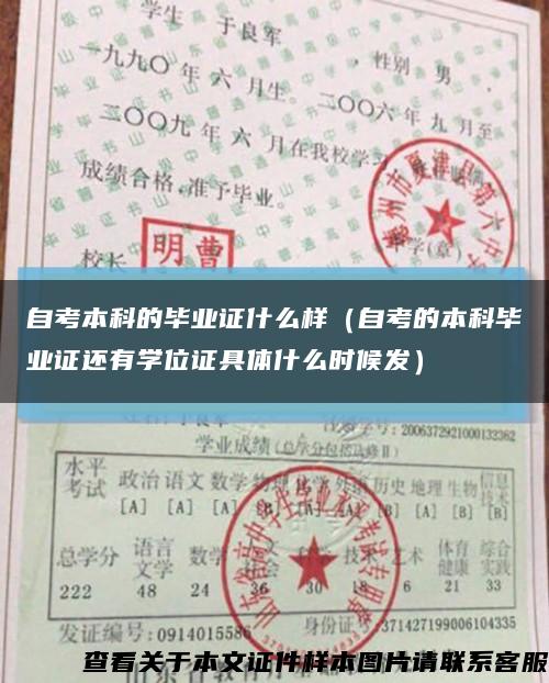 自考本科的毕业证什么样（自考的本科毕业证还有学位证具体什么时候发）缩略图