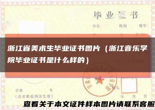 浙江省美术生毕业证书图片（浙江音乐学院毕业证书是什么样的）缩略图