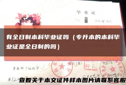 有全日制本科毕业证吗（专升本的本科毕业证是全日制的吗）缩略图