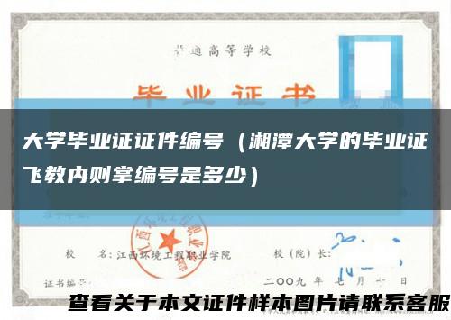 大学毕业证证件编号（湘潭大学的毕业证飞教内则掌编号是多少）缩略图