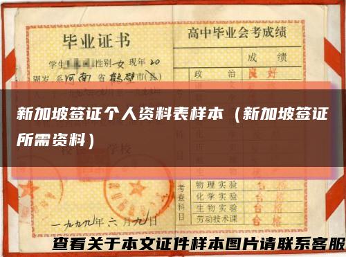 新加坡签证个人资料表样本（新加坡签证所需资料）缩略图
