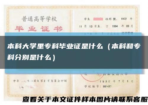本科大学里专科毕业证是什么（本科和专科分别是什么）缩略图