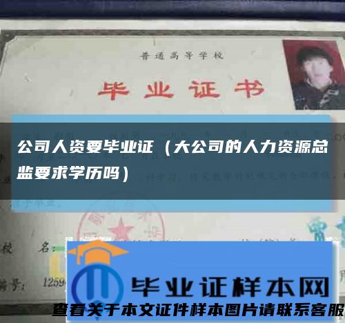 公司人资要毕业证（大公司的人力资源总监要求学历吗）缩略图