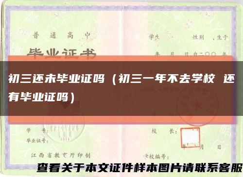 初三还未毕业证吗（初三一年不去学校 还有毕业证吗）缩略图