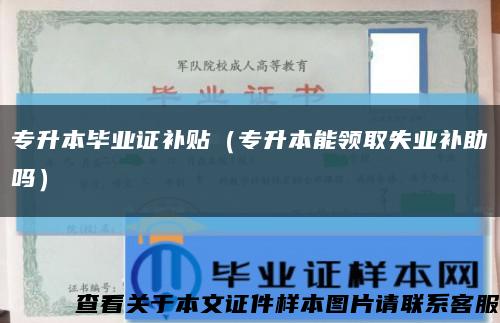 专升本毕业证补贴（专升本能领取失业补助吗）缩略图