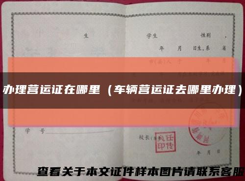 办理营运证在哪里（车辆营运证去哪里办理）缩略图