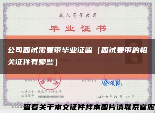 公司面试需要带毕业证嘛（面试要带的相关证件有哪些）缩略图