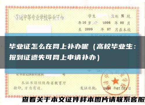 毕业证怎么在网上补办呢（高校毕业生：报到证遗失可网上申请补办）缩略图
