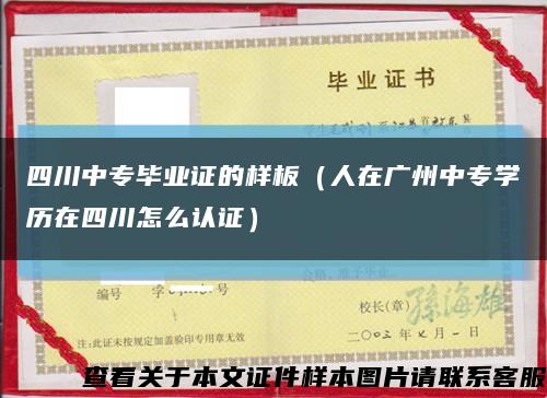 四川中专毕业证的样板（人在广州中专学历在四川怎么认证）缩略图