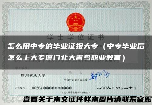 怎么用中专的毕业证报大专（中专毕业后怎么上大专厦门北大青鸟职业教育）缩略图