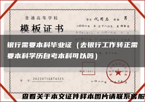银行需要本科毕业证（去银行工作转正需要本科学历自考本科可以吗）缩略图