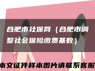 合肥市社保网（合肥市调整社会保险缴费基数）缩略图
