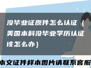 没毕业证原件怎么认证（美国本科没毕业学历认证该怎么办）缩略图