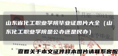 山东省化工职业学院毕业证图片大全（山东化工职业学院是公办还是民办）缩略图