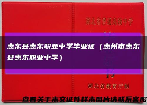 惠东县惠东职业中学毕业证（惠州市惠东县惠东职业中学）缩略图