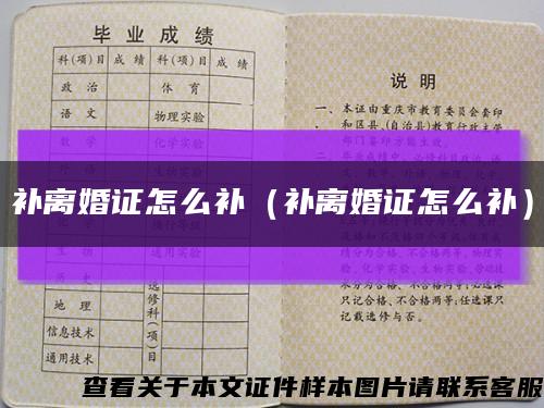 补离婚证怎么补（补离婚证怎么补）缩略图