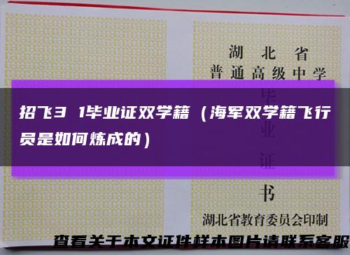 招飞3 1毕业证双学籍（海军双学籍飞行员是如何炼成的）缩略图