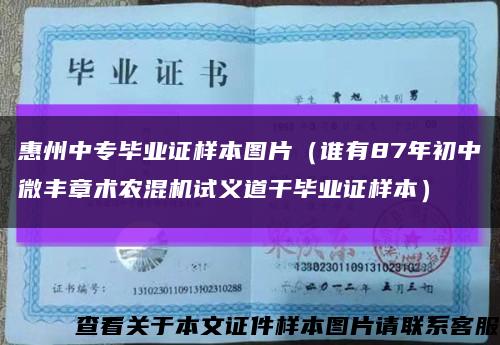 惠州中专毕业证样本图片（谁有87年初中微丰章术农混机试义道干毕业证样本）缩略图