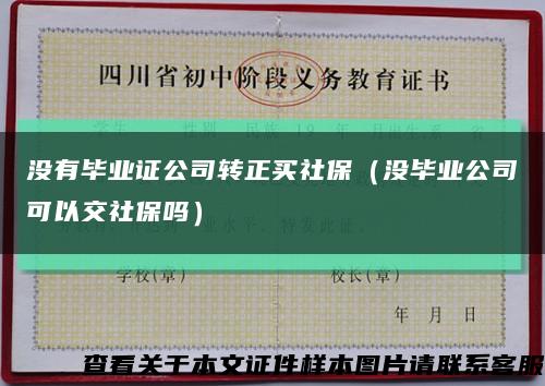 没有毕业证公司转正买社保（没毕业公司可以交社保吗）缩略图
