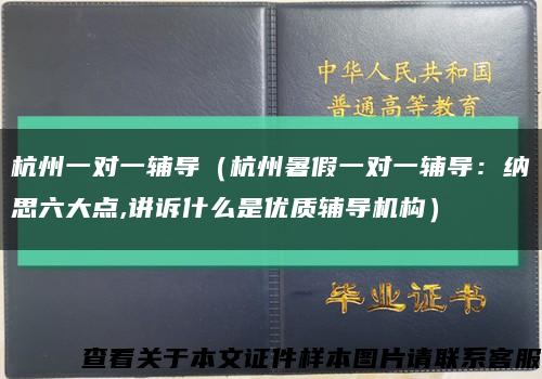 杭州一对一辅导（杭州暑假一对一辅导：纳思六大点,讲诉什么是优质辅导机构）缩略图