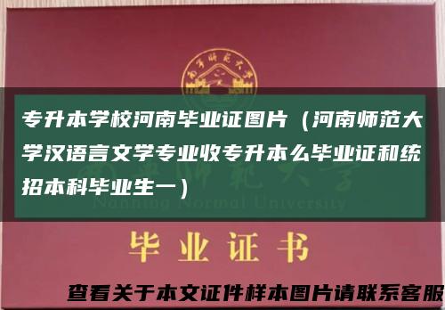 专升本学校河南毕业证图片（河南师范大学汉语言文学专业收专升本么毕业证和统招本科毕业生一）缩略图