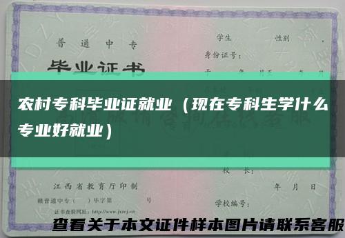 农村专科毕业证就业（现在专科生学什么专业好就业）缩略图