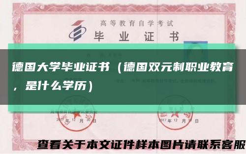 德国大学毕业证书（德国双元制职业教育，是什么学历）缩略图