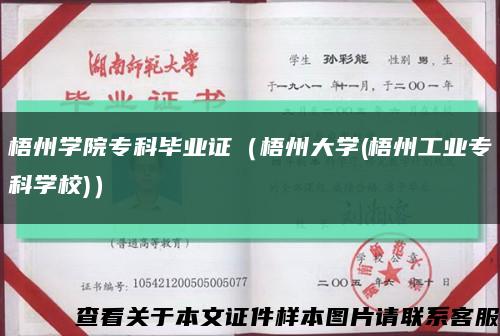 梧州学院专科毕业证（梧州大学(梧州工业专科学校)）缩略图